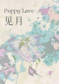 见乐虎动画片