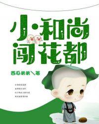 小和尚闯花都全文免费阅读