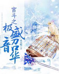 类似宫斗之极盛韶华的