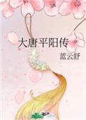 大唐平阳传笔趣阁