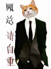 顾总请自重清简