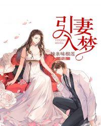 小妻入梦来txt