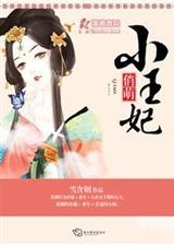 这个王妃有点萌 电视剧