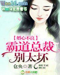 霸道总裁不良宠婚