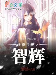 神奇宝贝之智辉百度百科