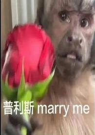 自我沉沦二点大头