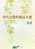 年代文里的极品夫妇