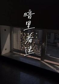 暗里着迷笔趣阁