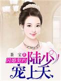 闪婚娇妻陆少太着急