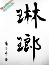 琳琅天的结局