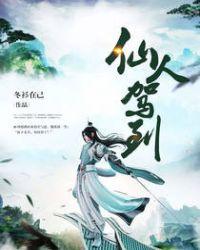 仙人驾到txt